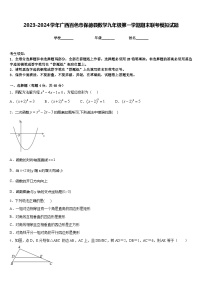 2023-2024学年广西百色市保德县数学九年级第一学期期末联考模拟试题含答案