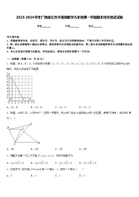 2023-2024学年广西崇左市天等县数学九年级第一学期期末综合测试试题含答案