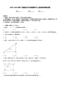 2023-2024学年广西省崇左市天等县数学九上期末联考模拟试题含答案