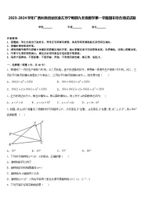 2023-2024学年广西壮族自治区崇左市宁明县九年级数学第一学期期末综合测试试题含答案