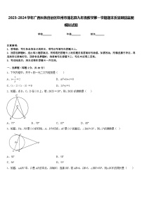 2023-2024学年广西壮族自治区钦州市浦北县九年级数学第一学期期末质量跟踪监视模拟试题含答案