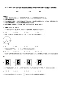 2023-2024学年杠杆专题-新疆哈密市第四中学数学九年级第一学期期末联考试题含答案