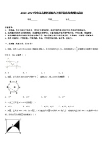 2023-2024学年江北新区联盟九上数学期末经典模拟试题含答案