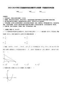 2023-2024学年江苏省南通市如东县数学九年级第一学期期末统考试题含答案