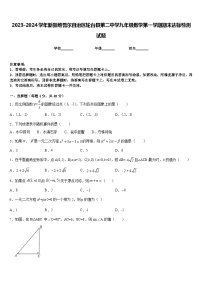 2023-2024学年新疆维吾尔自治区轮台县第二中学九年级数学第一学期期末达标检测试题含答案