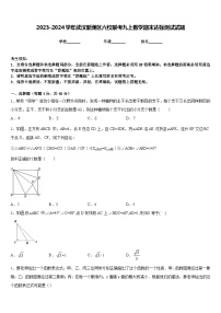 2023-2024学年武汉新洲区六校联考九上数学期末达标测试试题含答案