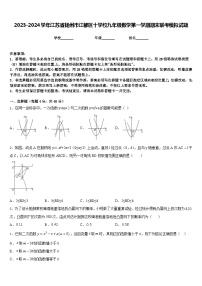 2023-2024学年江苏省扬州市江都区十学校九年级数学第一学期期末联考模拟试题含答案