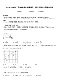 2023-2024学年江苏省淮安市金湖县数学九年级第一学期期末检测模拟试题含答案