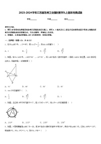 2023-2024学年江苏省苏州工业园区数学九上期末经典试题含答案