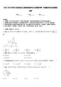 2023-2024学年江苏省苏州工业园区星湖学校九年级数学第一学期期末综合测试模拟试题含答案