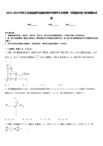 2023-2024学年江苏省盐都市盐都初级中学数学九年级第一学期期末复习检测模拟试题含答案