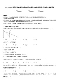 2023-2024学年江苏省泰州市高港区许庄中学九年级数学第一学期期末调研试题含答案