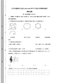 辽宁省盘锦市大洼区2023-2024学年九年级上学期期末数学模拟试题（含答案）