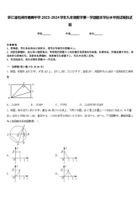 浙江省杭州市朝晖中学2023-2024学年九年级数学第一学期期末学业水平测试模拟试题含答案