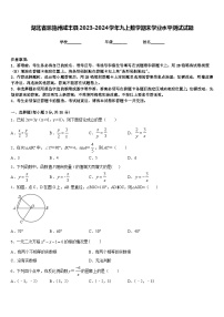 湖北省恩施州咸丰县2023-2024学年九上数学期末学业水平测试试题含答案