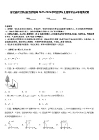 湖北省武汉洪山区五校联考2023-2024学年数学九上期末学业水平测试试题含答案