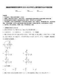 湖南省邵阳县黄亭市镇中学2023-2024学年九上数学期末学业水平测试试题含答案