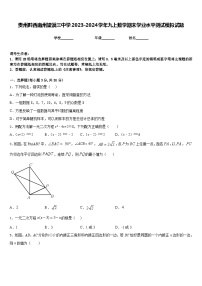 贵州黔西南州望谟三中学2023-2024学年九上数学期末学业水平测试模拟试题含答案