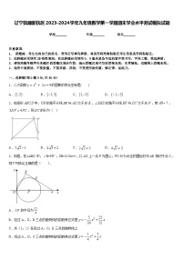 辽宁抚顺新抚区2023-2024学年九年级数学第一学期期末学业水平测试模拟试题含答案