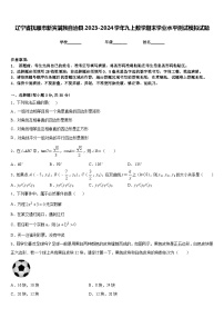 辽宁省抚顺市新宾满族自治县2023-2024学年九上数学期末学业水平测试模拟试题含答案