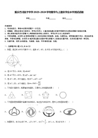 重庆巴川量子中学2023-2024学年数学九上期末学业水平测试试题含答案