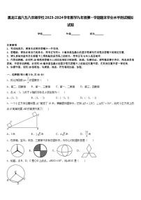 黑龙江省八五八农场学校2023-2024学年数学九年级第一学期期末学业水平测试模拟试题含答案