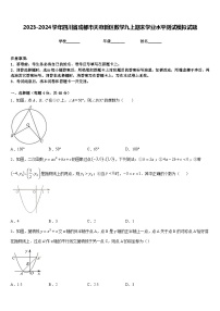 2023-2024学年四川省成都市天府新区数学九上期末学业水平测试模拟试题含答案