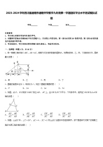 2023-2024学年四川省德阳市德阳中学数学九年级第一学期期末学业水平测试模拟试题含答案