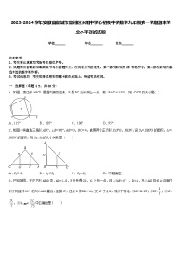 2023-2024学年安徽省宣城市宣州区水阳中学心初级中学数学九年级第一学期期末学业水平测试试题含答案