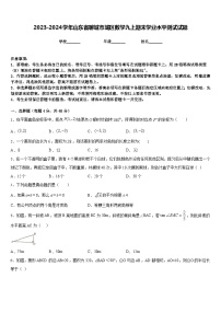 2023-2024学年山东省聊城市城区数学九上期末学业水平测试试题含答案