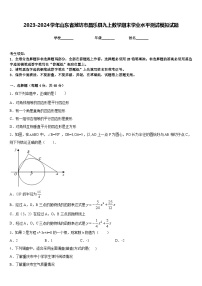 2023-2024学年山东省潍坊市昌乐县九上数学期末学业水平测试模拟试题含答案