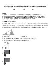 2023-2024学年广东省普宁市华南实验学校数学九上期末学业水平测试模拟试题含答案