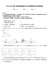 2023-2024学年广西壮族自治区南宁市九上数学期末学业水平测试试题含答案