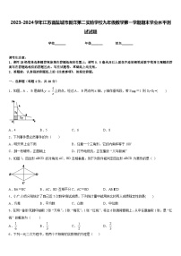 2023-2024学年江苏省盐城市新洋第二实验学校九年级数学第一学期期末学业水平测试试题含答案