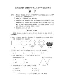 2023-2024深圳市适应性考试九年级数学试卷