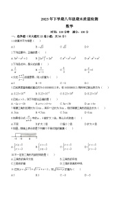 湖南省娄底市2023-2024学年八年级上学期期末数学试题