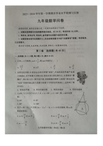 山东省聊城市阳谷县2023-—2024学年九年级上学期1月期末数学试题