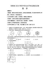 湖南省2024初中毕业水平模拟考试数学试卷