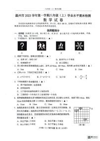 浙江省温州市2023-2024学年八年级上学期期末检测数学试题