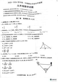 山东省聊城市冠县2023-—2024学年九年级上学期1月期末数学试题