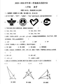 安徽省合肥市蜀山区中国科大附中高新中学2023一2024学年上学期期末质量评估八年级数学试卷