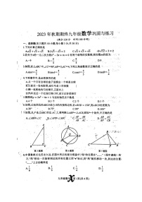 河南省南阳市内乡县2023-2024学年九年级上学期1月期末数学试题