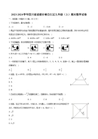 2023-2024学年四川省成都市青白江区九年级（上）期末数学试卷（含解析）