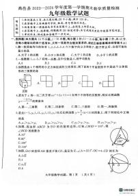 河北省石家庄市高邑县2023—2024学年九年级上学期期末教学质量检测数学试题