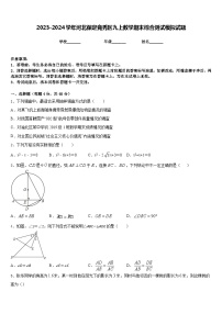 2023-2024学年河北保定竞秀区九上数学期末综合测试模拟试题含答案