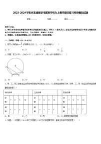 2023-2024学年河北省保定市冀英学校九上数学期末复习检测模拟试题含答案