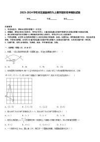 2023-2024学年河北省霸州市九上数学期末统考模拟试题含答案