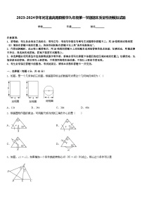 2023-2024学年河北省高阳县数学九年级第一学期期末质量检测模拟试题含答案