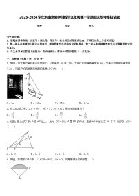 2023-2024学年河南洛阳伊川数学九年级第一学期期末统考模拟试题含答案