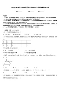 2023-2024学年河南省漯河市临颍县九上数学期末检测试题含答案